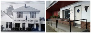 Rainier Veterinary Hospital Seattle: Then and Now