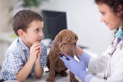 New Puppy 101: Preventive Care