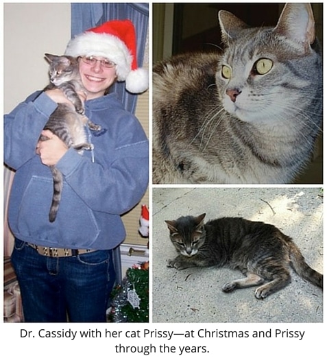 Dr Colleen Cassidy, Veterinarian at Rainier Veterinary Hospital Seattle