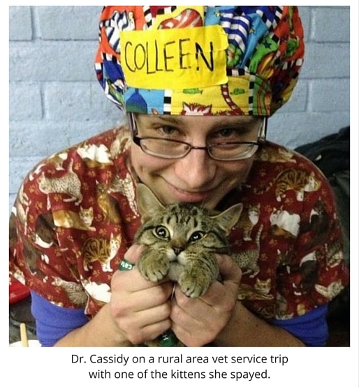 Dr Colleen Cassidy, Veterinarian at Rainier Veterinary Hospital Seattle