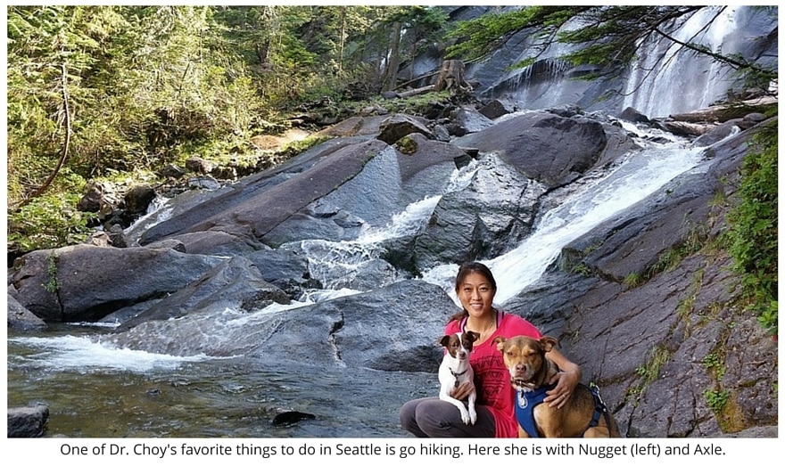 Dr Heidi Choy, Veterinarian at Rainier Veterinary Hospital Seattle