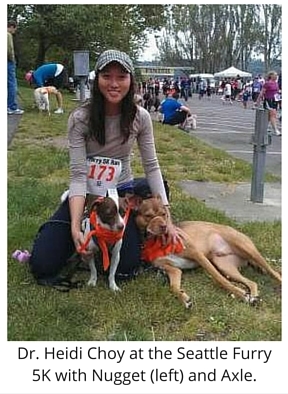 Dr Heidi Choy, Veterinarian at Rainier Veterinary Hospital Seattle