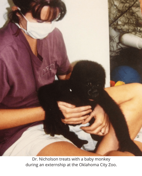 Dr Debra Nicholson, Veterinarian at Rainier Veterinary Hospital Seattle