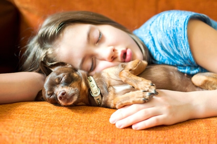 Pet Vaccination Questions Answered at Rainier Veterinary Hospital
