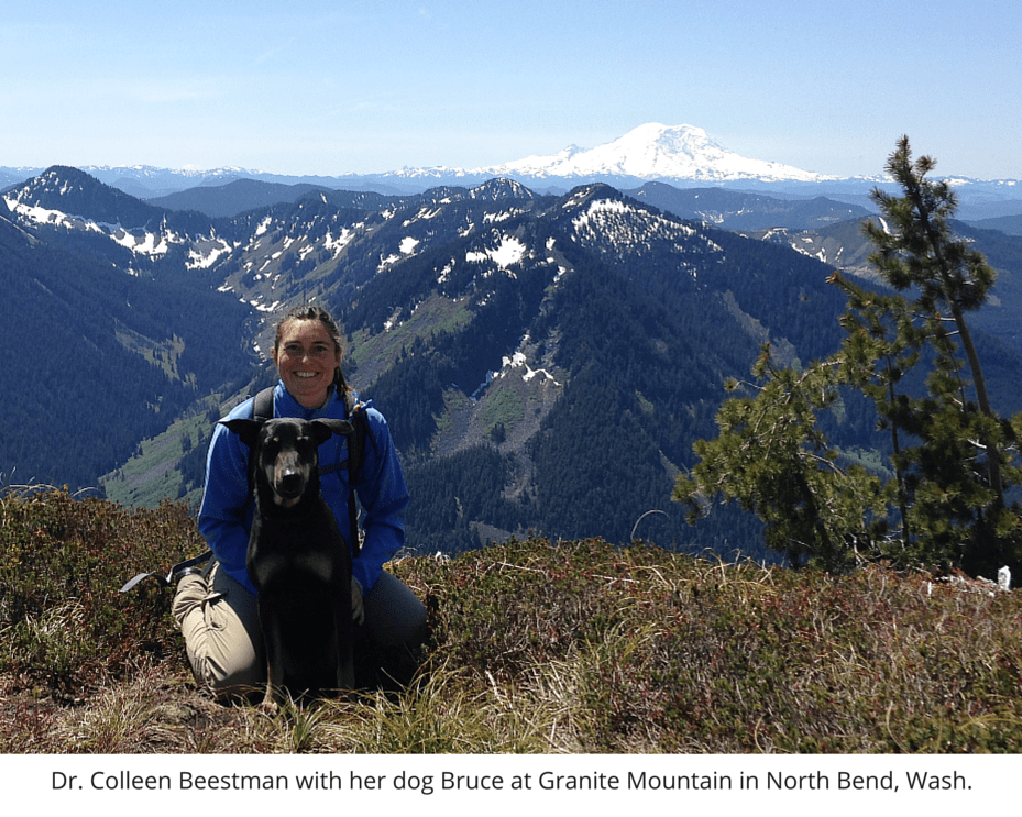 Dr Colleen Beestman, Veterinarian at Rainier Veterinary Hospital Seattle
