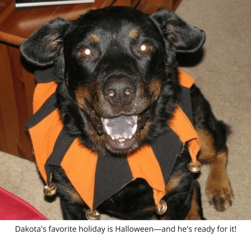Rainier Veterinary Hospital Dog of the Month, September 2016: Dakota