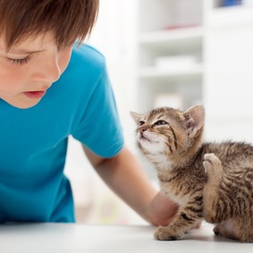 Rainier Veterinary Hospital: Fleas, Giardia, Leptospirosis, and How to Protect Your Pet