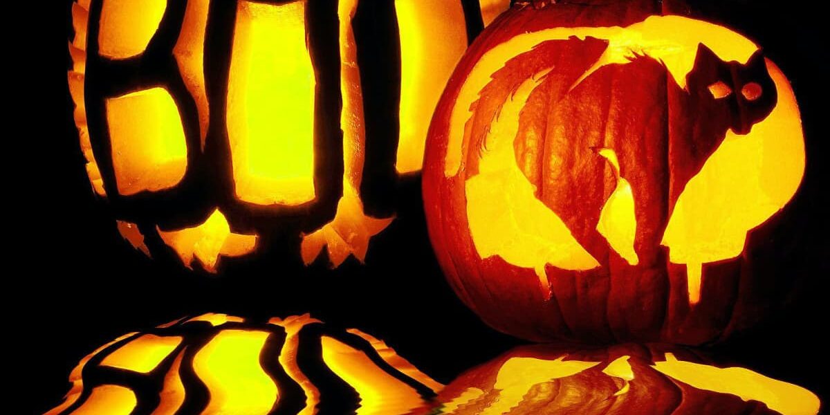 Rainier Veterinary Hospital Halloween Reminders