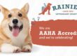 Rainier Veterinary Hospital Earns AAHA Accreditation—something only 15% of vet practices in the US and Canada can say!