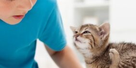 Rainier Veterinary Hospital: Fleas, Giardia, Leptospirosis, and How to Protect Your Pet