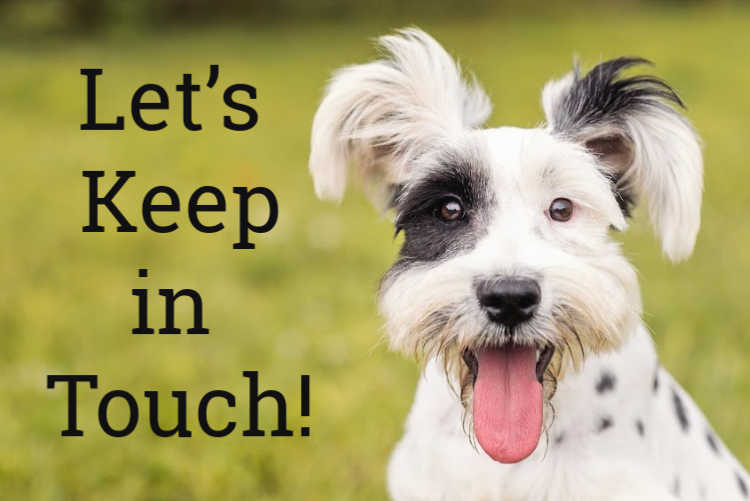 Subscribe to the Rainier Veterinary Hospital Newsletter