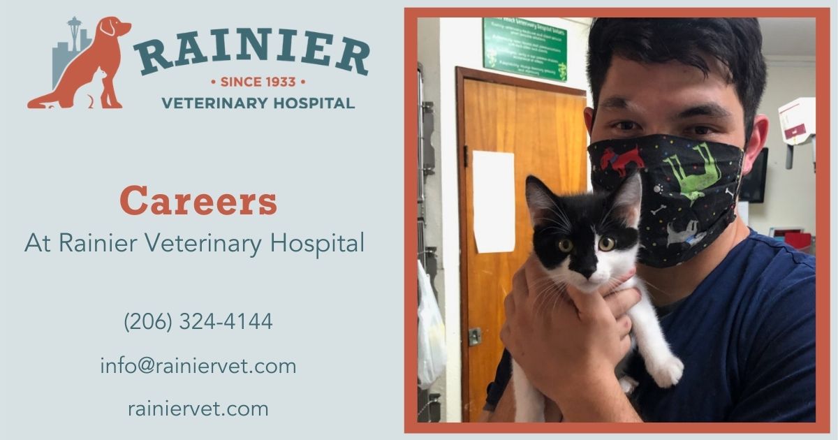 Careers at Rainier Veterinary Hospital in Seattle, Providing