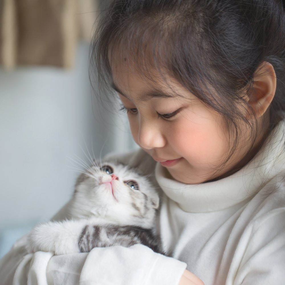 Rainier Veterinary Hospital Financial Resources Rainier Veterinary Hospital Financial Resources