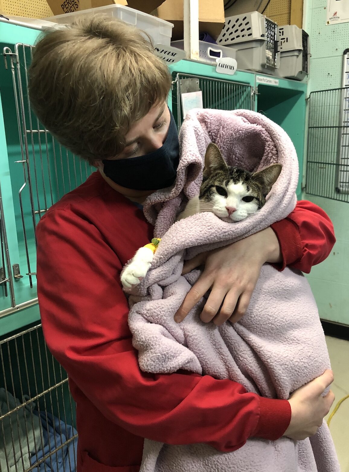 Rainier Veterinary Hospital care Rainier Veterinary Hospital care