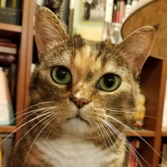 Simon, Veterinary Assistant at Rainier Veterinary Hospital