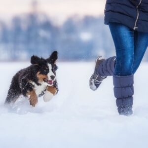 2024_01_petcold2