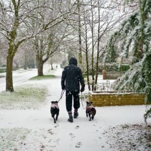 2024-01_petcold4