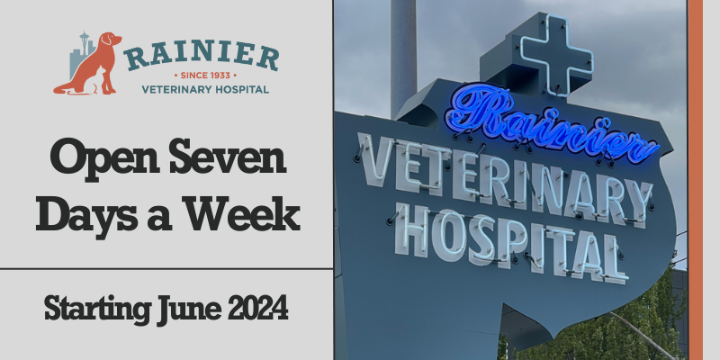 Starting June 2024, Rainier Veterinary Hospital will be open 7 days a week!