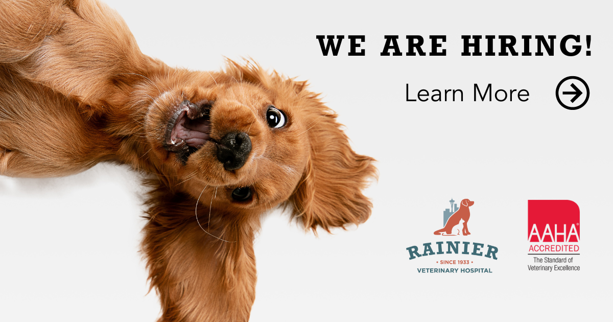 Now Hiring Rainier Veterinary Hospital