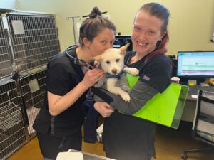 Rainier Veterinary Hospital Team