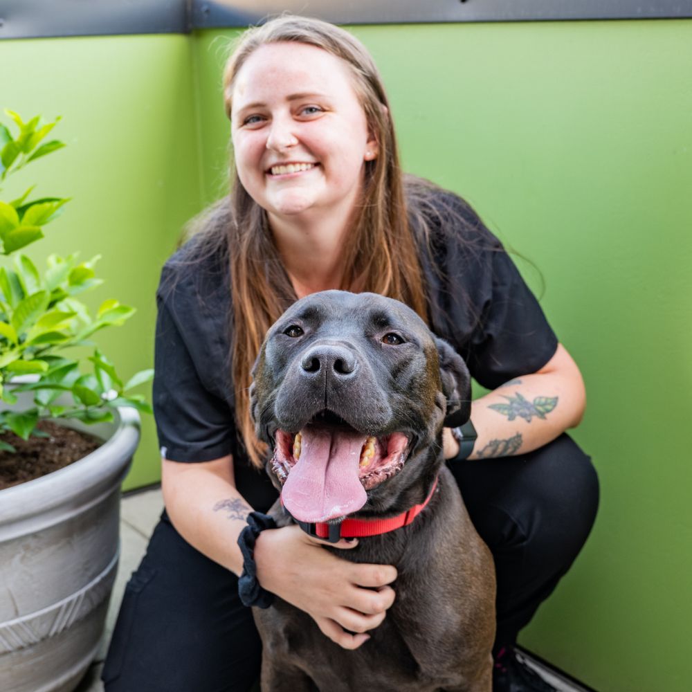 Kenzie Haack, Veterinary Assistant at Rainier Veterinary Hospital