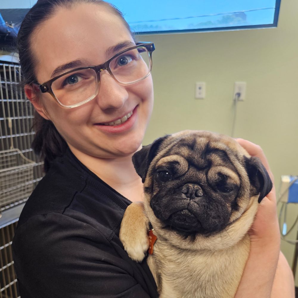 Amanda, Client Care Coordinator at Rainier Veterinary Hospital