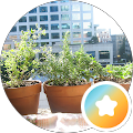 Heather Mercier